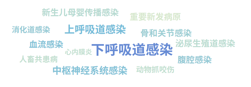 1719451040483848.png ͼƬ 2.png