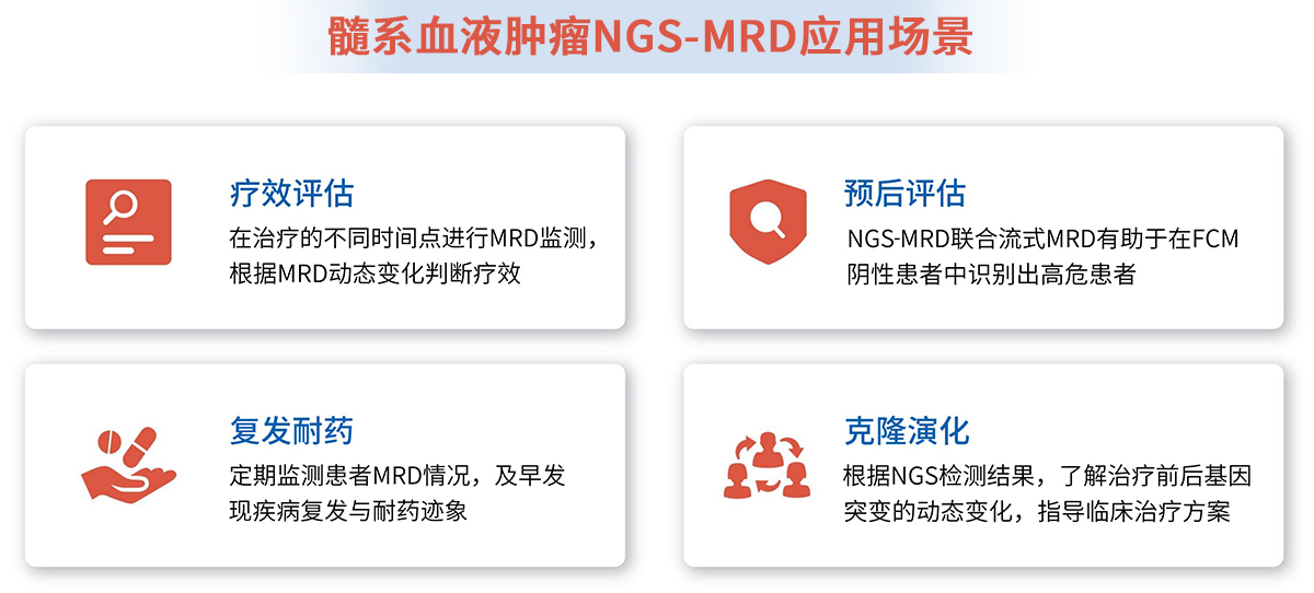 1727233935960610.jpg 06.jpg