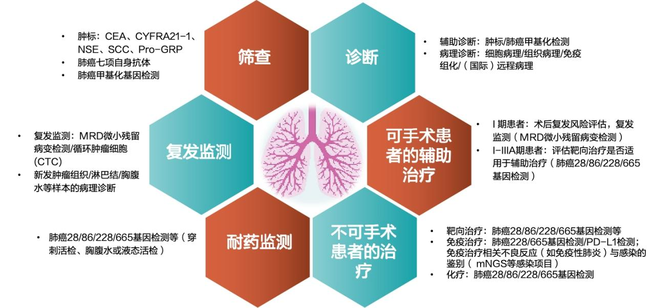 1732255376797439.png ͼƬ1.png